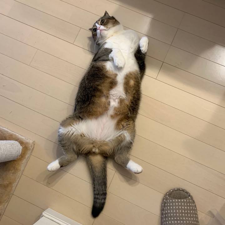 10e7b0eb d53e 462c 9c63 f7910a1ddd8e 1576291342916