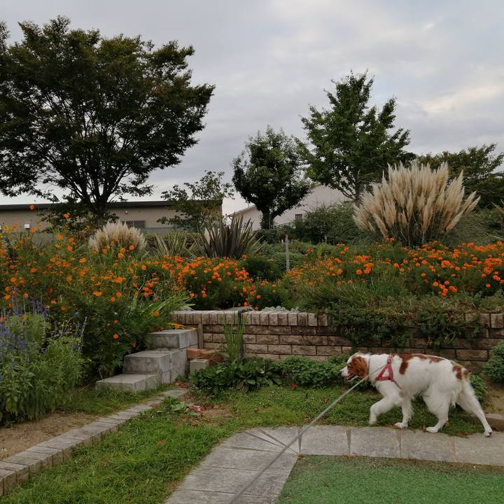 10e7bc58 c13b 4183 8a40 a667d3ec23c9 1600851534455