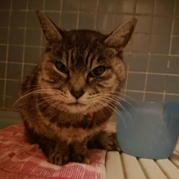 10e7d3c6 bcb4 4cde 8f4a db7870756adb 1580550495315