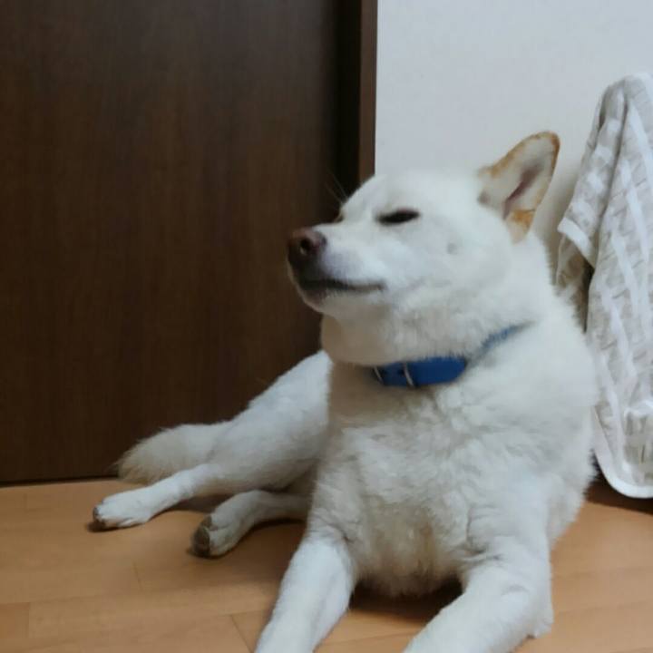 10e7d429 d4b3 45f9 b643 532eaa9cccf8 1530452888865