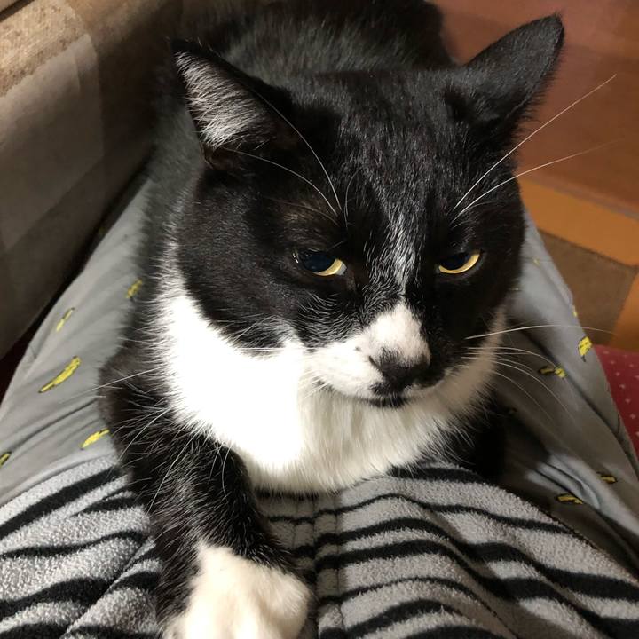 10e81a1f 455c 4fea 8e74 fcfd0016521e 1574048854386