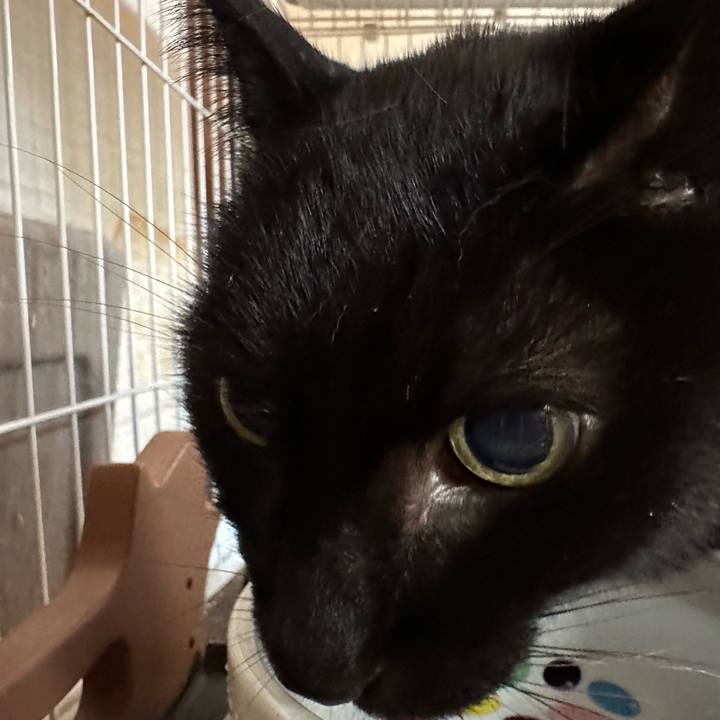 10e8313c f577 4f8d 9ee1 e87f2b8c3a78 1703901270387