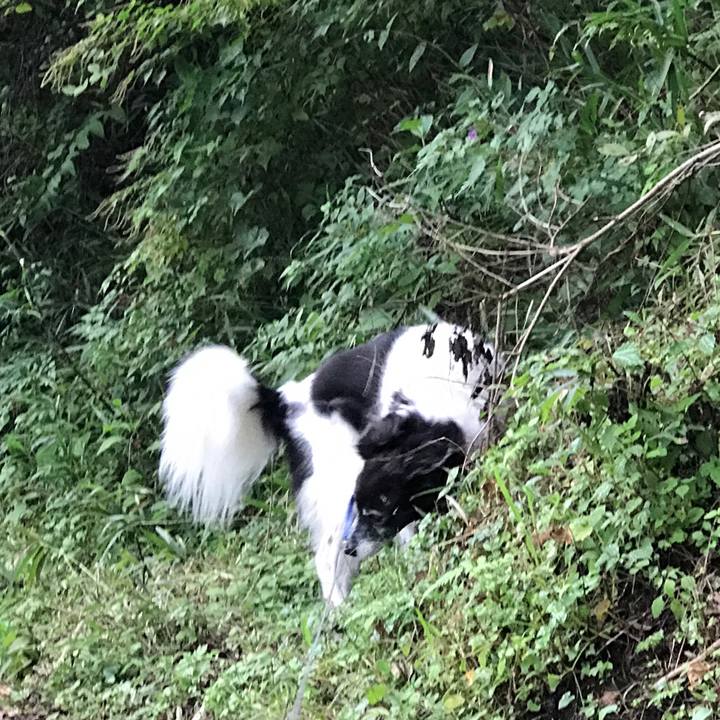 10e838ac 8a45 4868 b231 335e920a886c 1537365071567