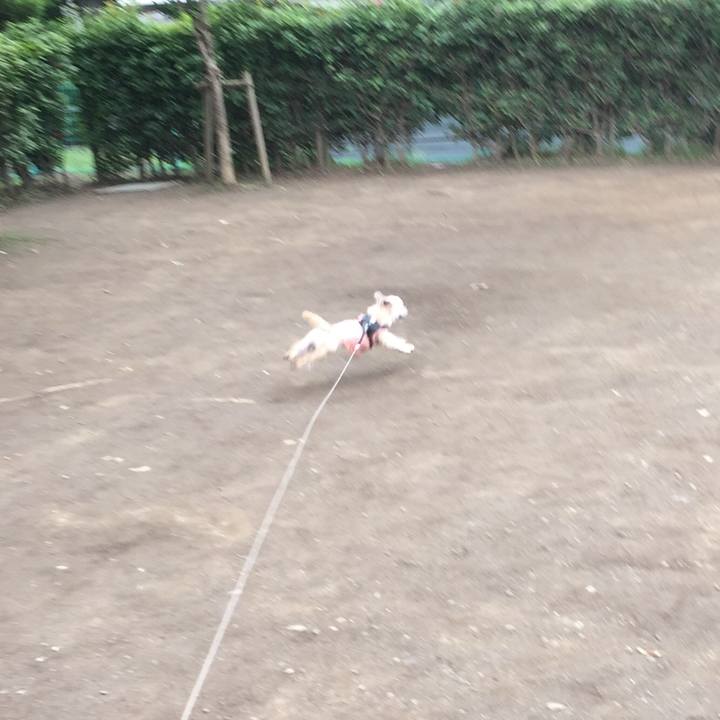 10e8596f 7696 4c84 898b 88d26e733726 1563680783352