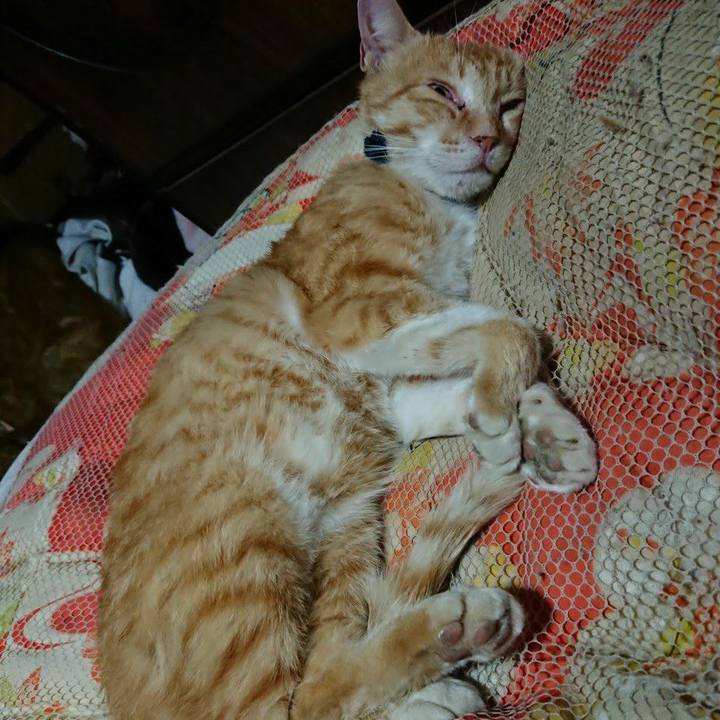 10e85c84 d25e 4800 8aa8 54822137635f 1559396111845