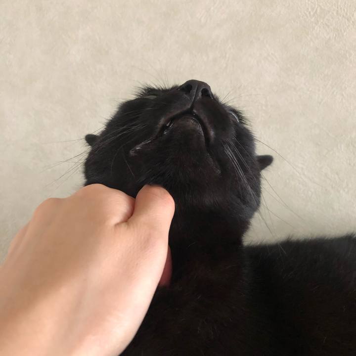 10e86914 300c 4bb1 a507 586e322ab2b2 1569284305458