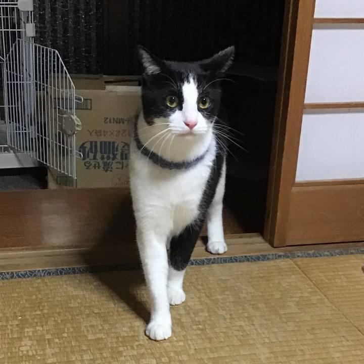 10e88553 e82d 4146 b5e9 9d195dc8f61a 1668252986338