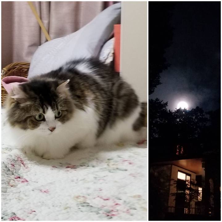 10e8b6a6 06e2 4e08 a73c e167fe68108d 1568727938273