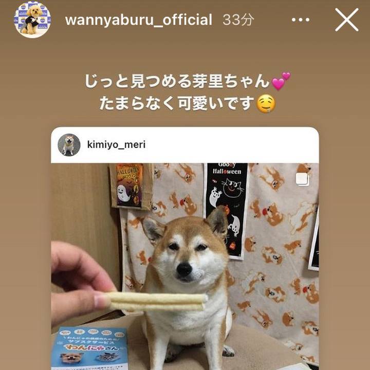 10e8e6a4 8cbc 4ff9 92ca c2f3e6aafaa7 1636113926104