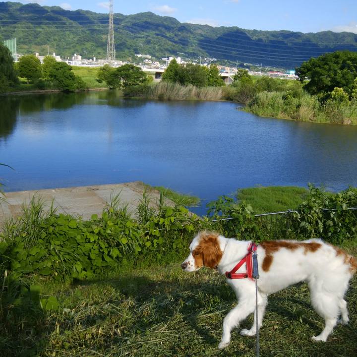 10e920e4 db33 4af6 b352 9fb3cb9be2ea 1528888617125