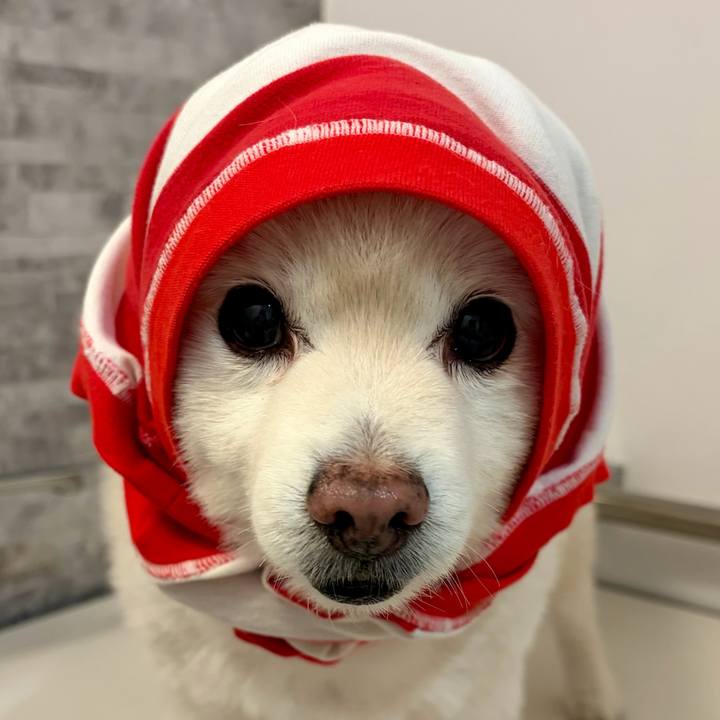 10e92f75 97e8 4453 aad3 29bbe0251ef5 1763936328684