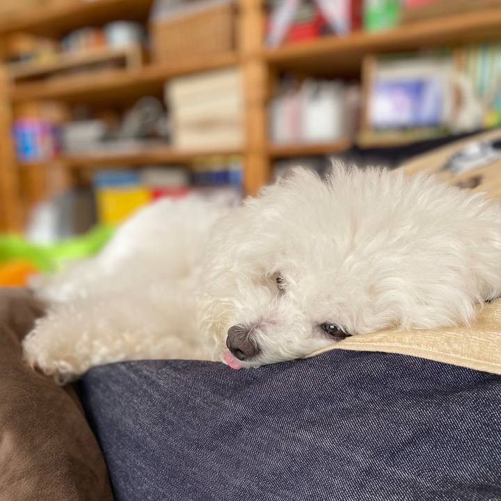 10e934a7 8adb 4f25 b0e9 4ad77abb11d3 1638319159209