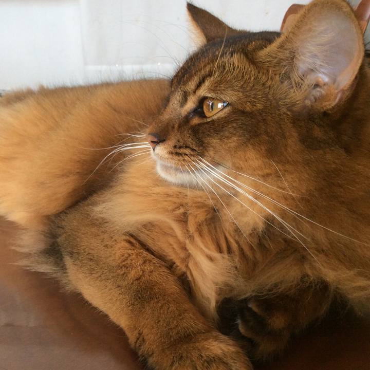 10e9656b 2371 4b53 baef 4ca025a84e41 1598922614225