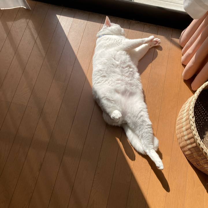 10e9734f 119f 4df2 943d ce7d36edf8a9 1773105761811