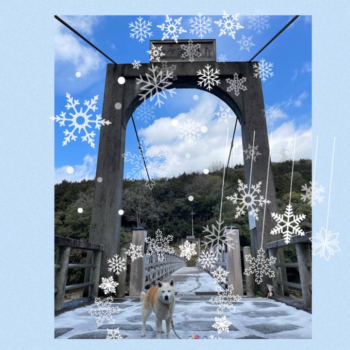 10e98c04 a39d 4d15 be67 686b9cb2fcb9 1674970082678