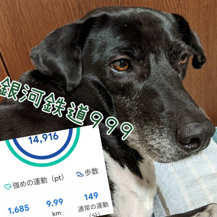 10e9fa4b da1e 4b3a 9ac2 3c1680bfc878 1708179193943