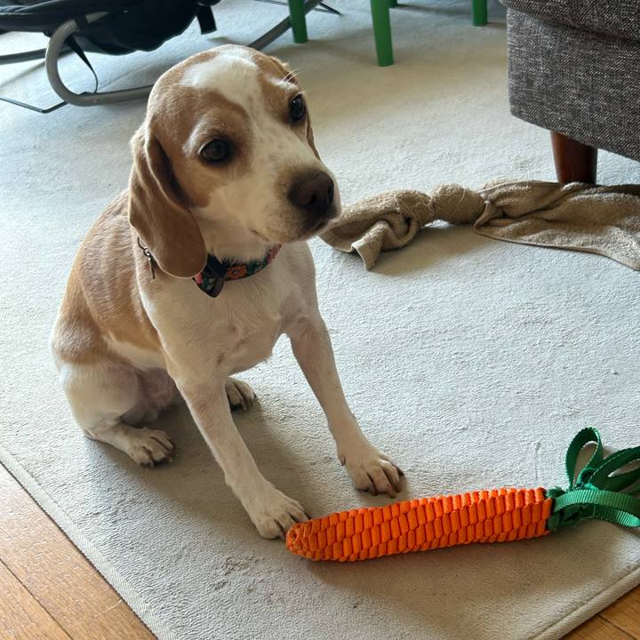 10ea0e45 3029 4d93 a217 5cc4277555e6 1695695998377