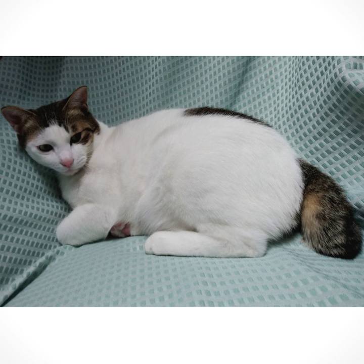 10ea1138 0070 497b a930 3a16a704e481 1709642395653