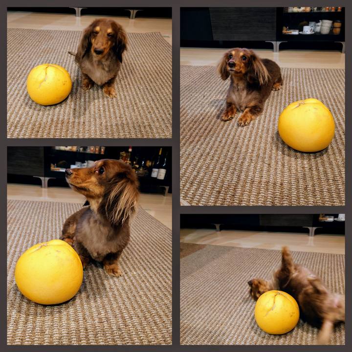 10ea544f a8a7 4f48 93cf 478b8d7ae01c 1707779723103