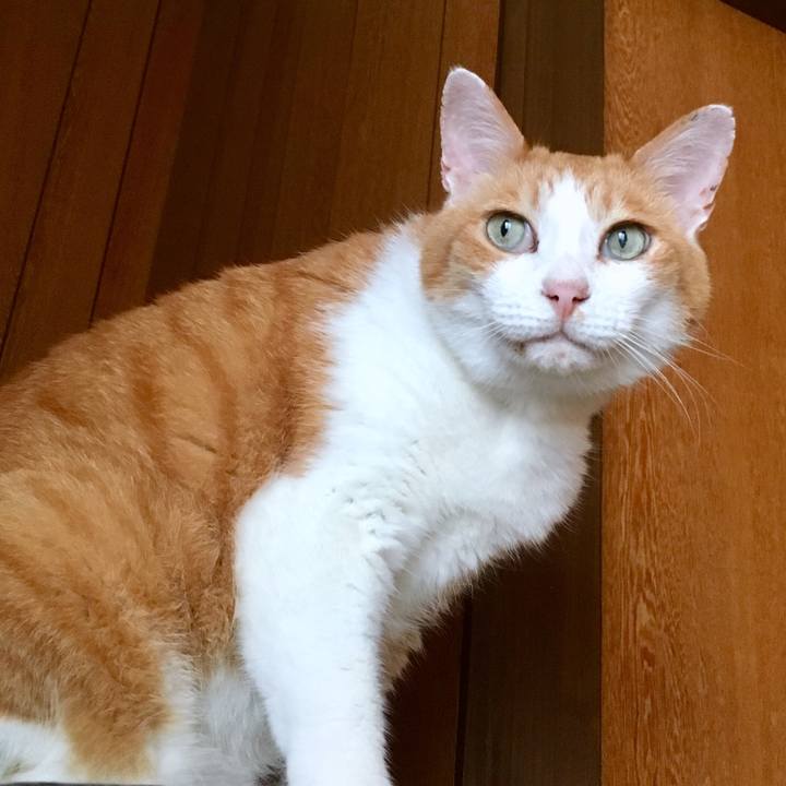 10ea5a55 fe65 4586 9432 bbc8f35cefb0 1564296137049