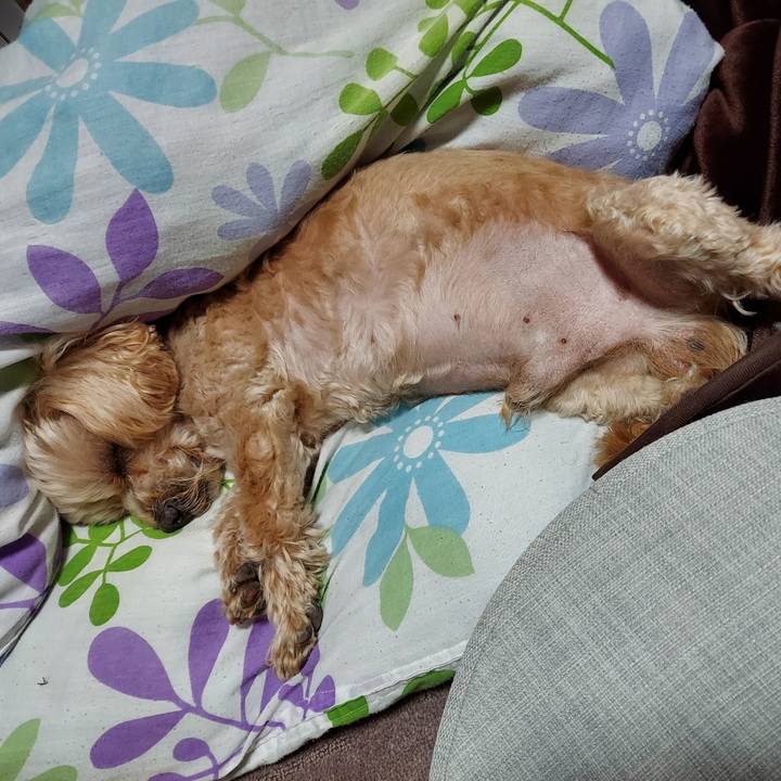 10ea6034 1b3f 4d11 93c8 14fe562a838c 1643981721954