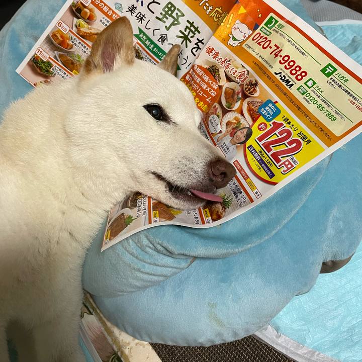 10ea6755 a9c0 4354 84b8 38e4c809cff4 1653316696261