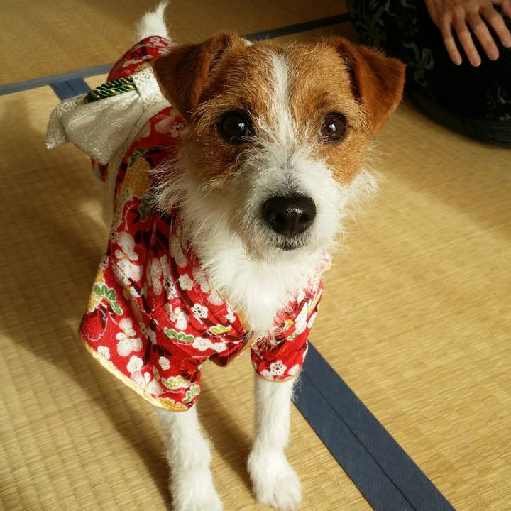 10ea78e2 ef9e 4b75 ba1c c51b45e7e3b8 1514779170340