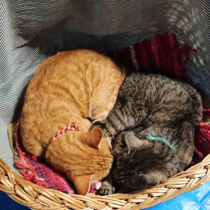 10eab147 df87 4eab 9425 91017f628826 1561795436616