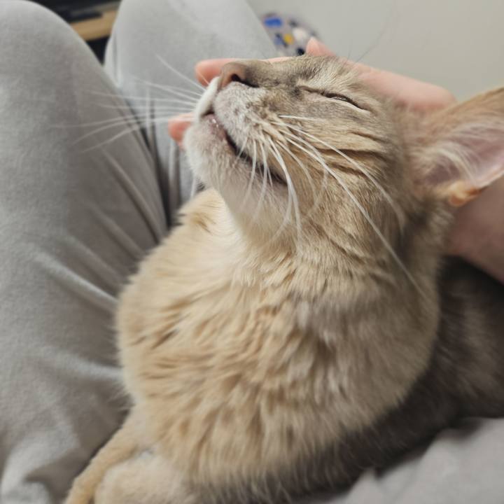 10eac7c3 4a86 4a7e a966 932c79451340 1772544294512