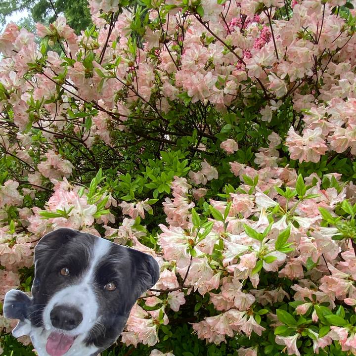 10eace8c 5633 4282 a7c3 e48b5830ca9a 1745390862569