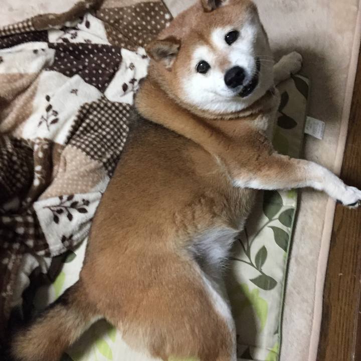 10eaef31 8cd1 44f8 8555 34a954930717 1519123305583