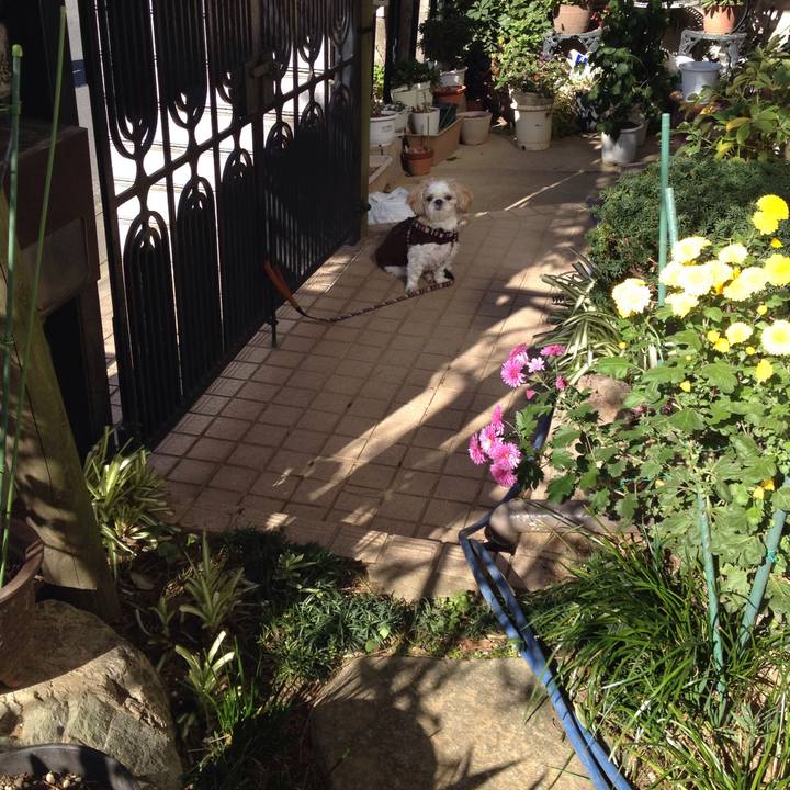 10eb19a2 4b28 44a3 a0e2 cc1f346245c2 1511213687723