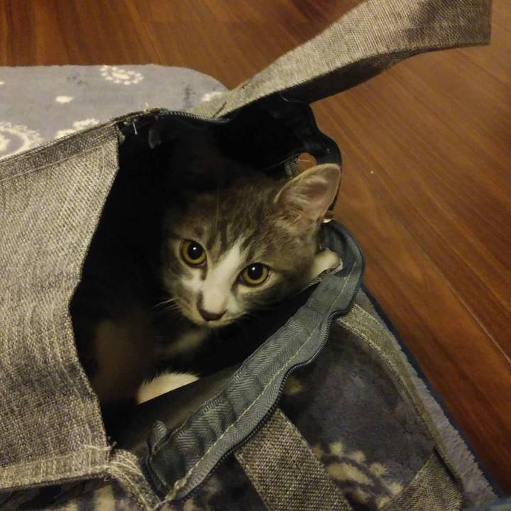 10eb238f 09e0 49b0 9270 e513480ebb98 1566824765238