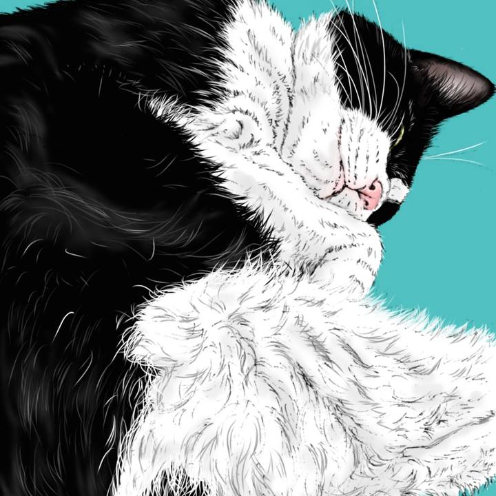 10eb29cc e1b5 4dde ae4e 4964f6717cb1 1645848344678