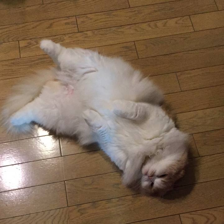 10eb3899 d0bd 4fe8 bf58 72675f21b8eb 1537538483912