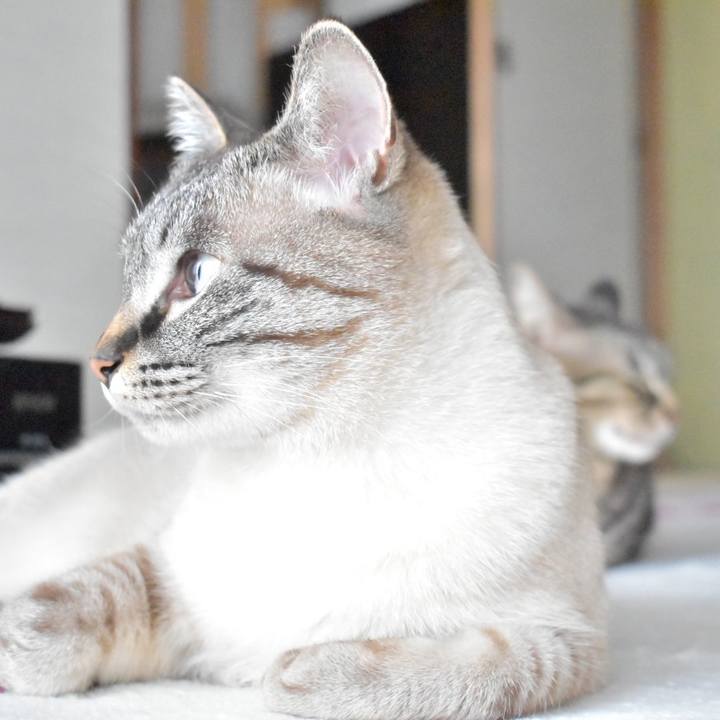 10eb4585 cec8 4408 ba05 4f4724463362 1525339223259