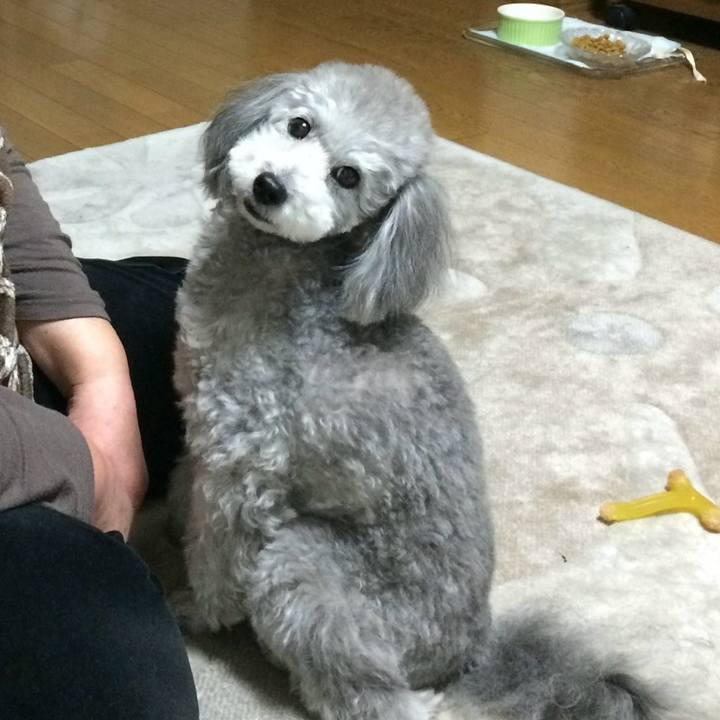 10eb6cef 89ca 4134 86e4 68b3a158049b 1768836384294