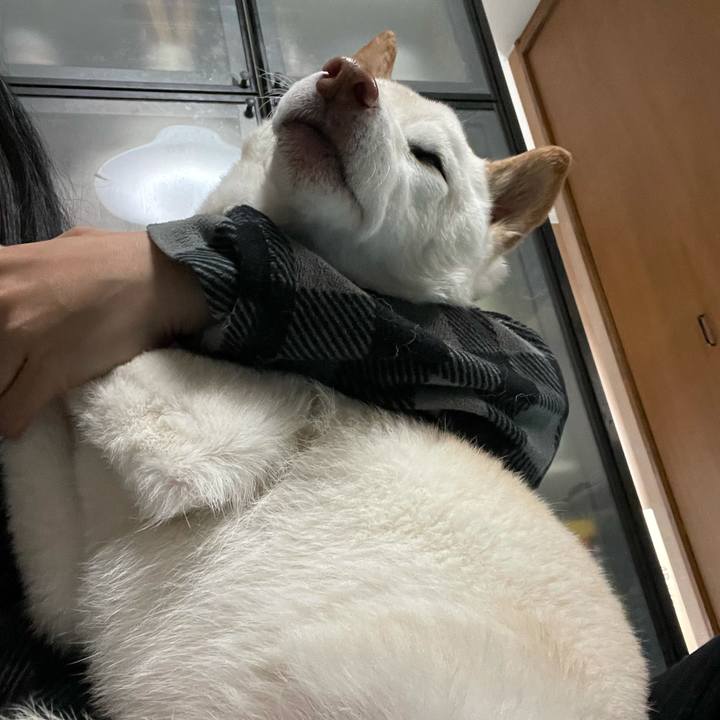 10eb801e 37ea 4e34 b89d 82ddce162c71 1634777184685