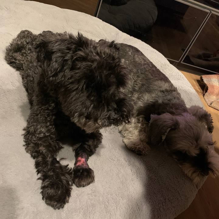 10eb82a0 7438 4ec7 9e8f 4de21632c9e1 1668335243023