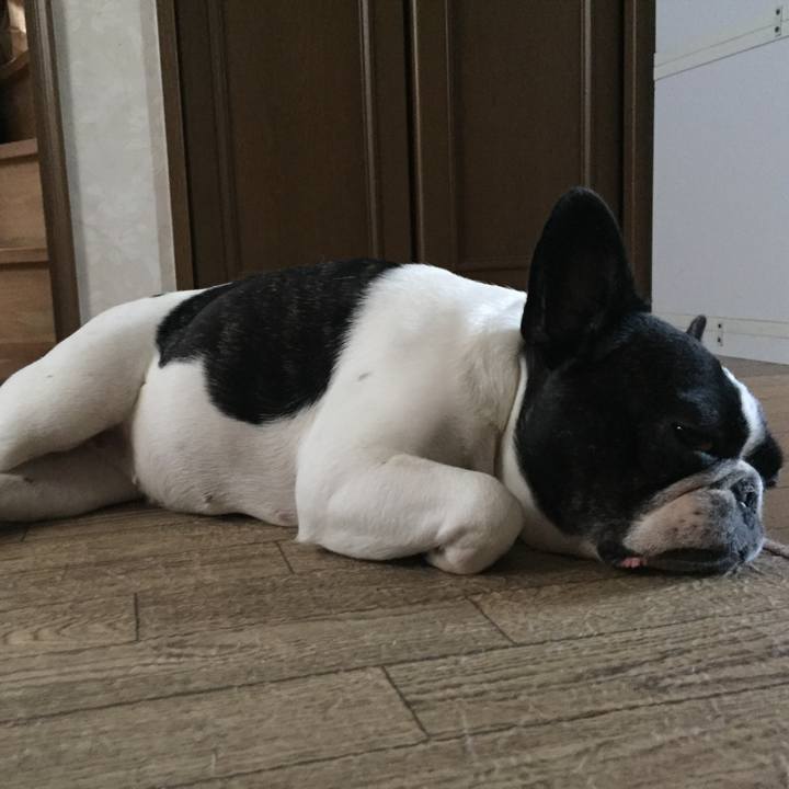 10eb8ec9 90d6 41f8 a6f5 81729669288e 1537367662402