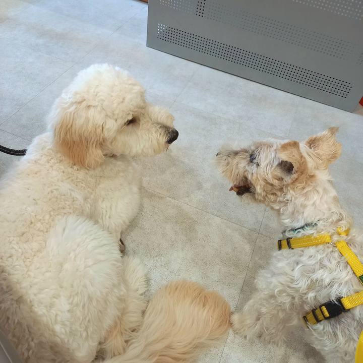 10ebb260 724f 4f7e b2ef 748b3e4fa643 1633161945548