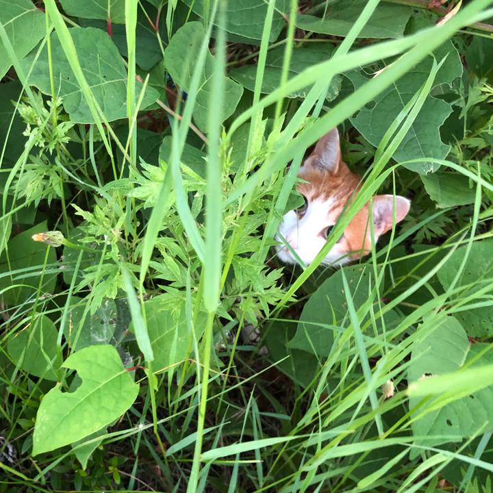 10ebd44b 8bf9 4217 9e23 a062edd18982 1560780483607