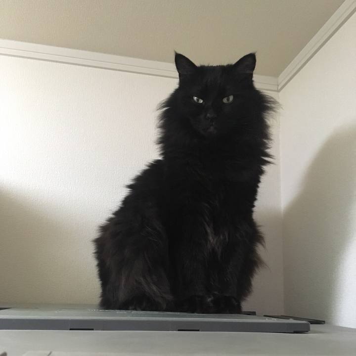 10ebde1b c9ea 4186 b021 a1ed67c5d2b5 1552095820769