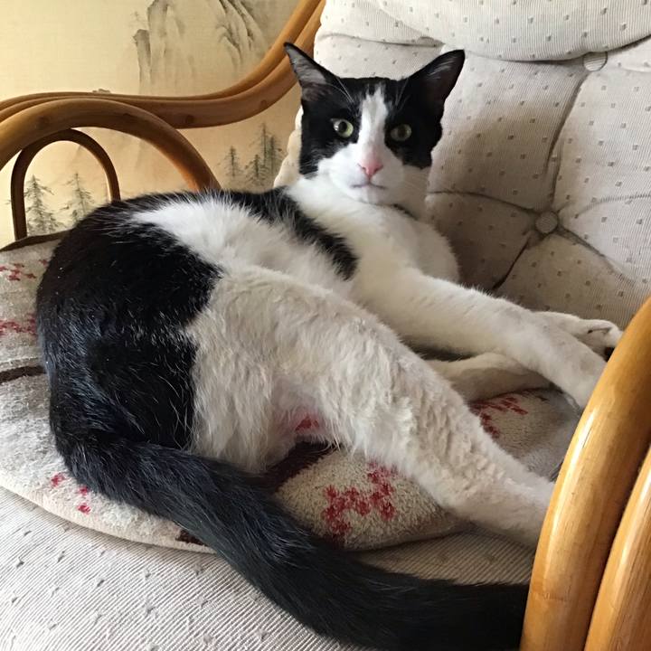 10ebdf16 4adb 4fb2 b3a9 216cfe4e3e13 1714289579406