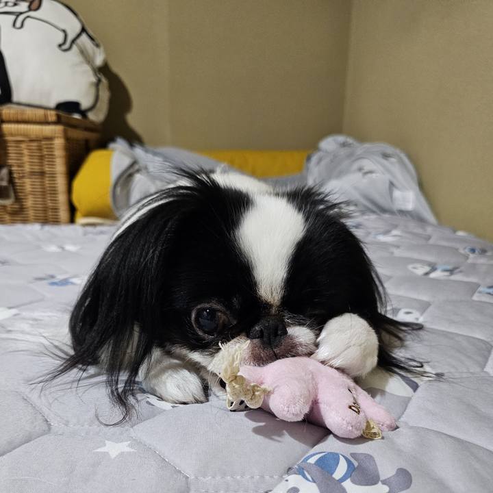 10ebed3c 1473 4a9b af45 85106862334b 1694352337143