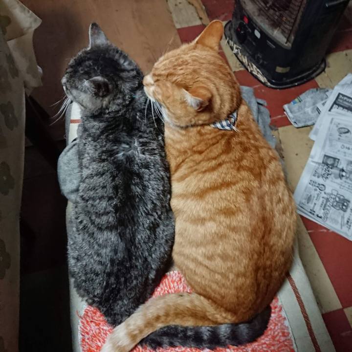 10ebf0ff a1dd 4149 936c 78dbb133cb2d 1607892276760