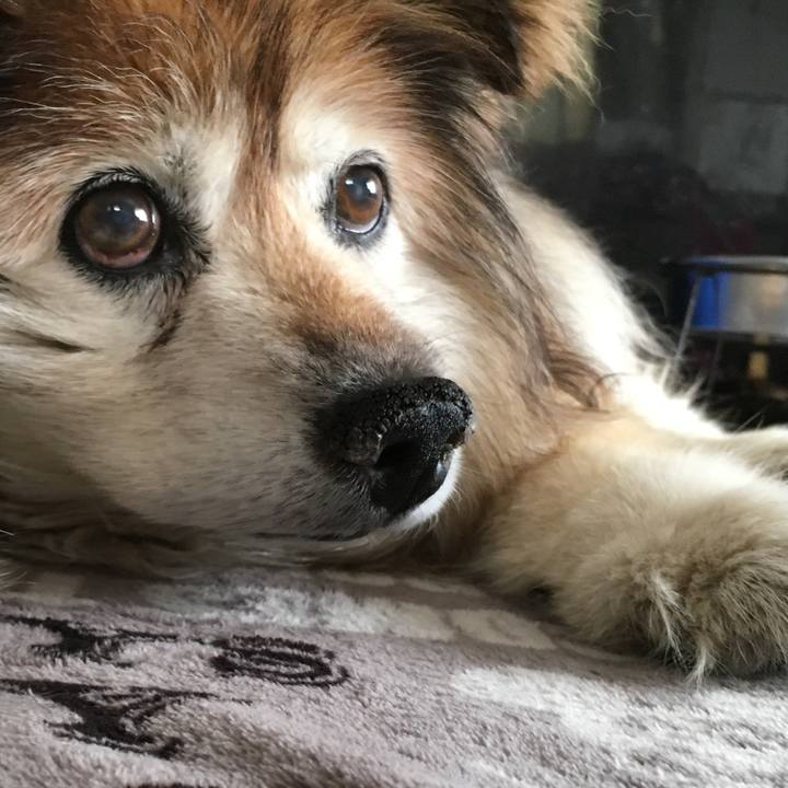 10ec1977 d73e 415e 854f 54d830953824 1595913622050