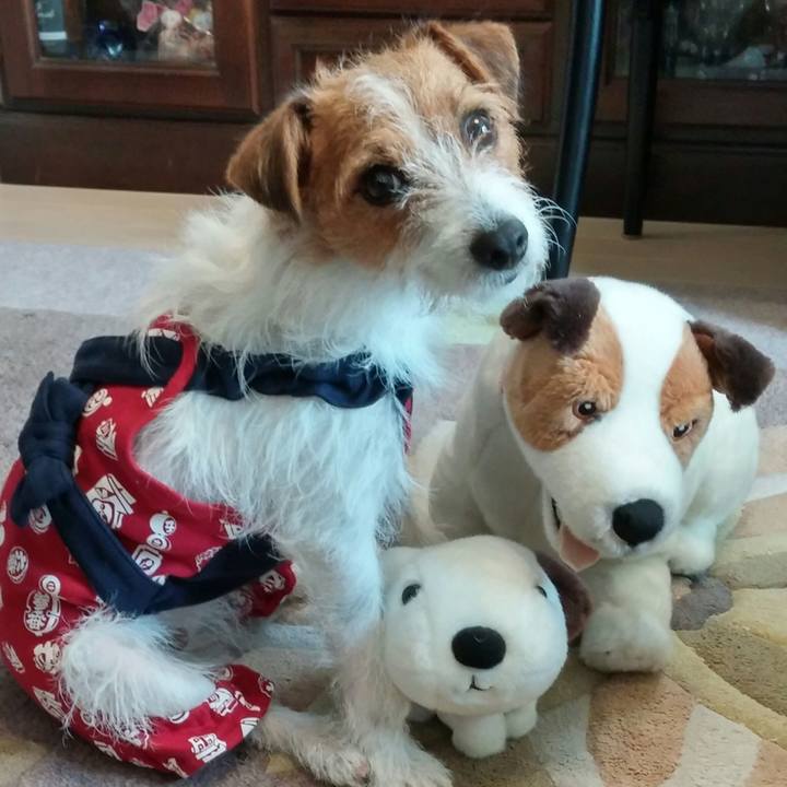 10ec2608 902d 43e4 a33f 1bb9d2456286 1535777216910