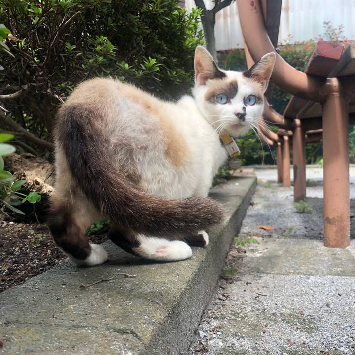 10ec3285 6473 4cb6 b000 bdbf89114e17 1633430858597