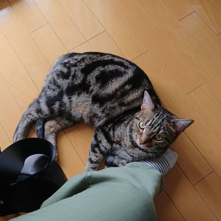 10ec34c8 0fe3 4d15 804e db6490f81c7b 1559616469734